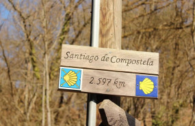 ep camino de santiago 20250722130903