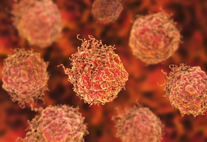Células en el cáncer de próstata | IMPERIAL COLLEGE LONDON - Archivo ep celulas en el cancer de prostata 20200323175405