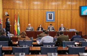 ep comparecencia de ana maria riego en la comision de investigacion de la faffe