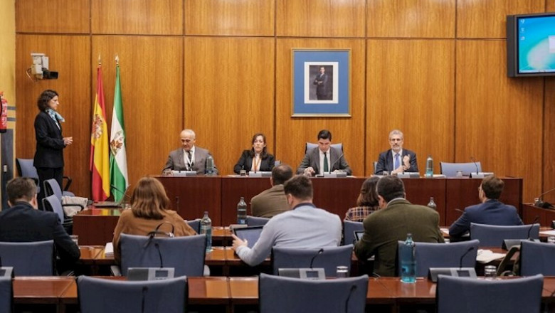 ep comparecencia de ana maria riego en la comision de investigacion de la faffe