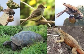 ep especiesdispersan semillas