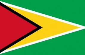 ep imagen de la bandera de guyana