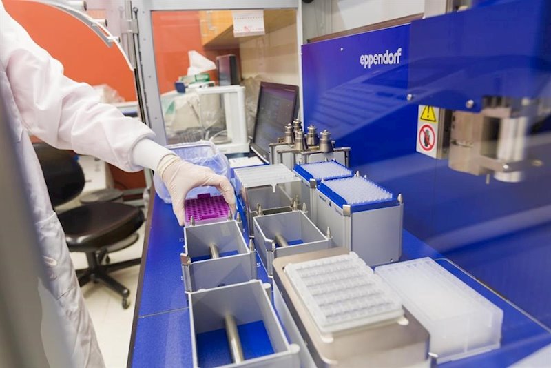 ep investigadores estadounidenses identifican seis variantes geneticas relacionadas con la ansiedad