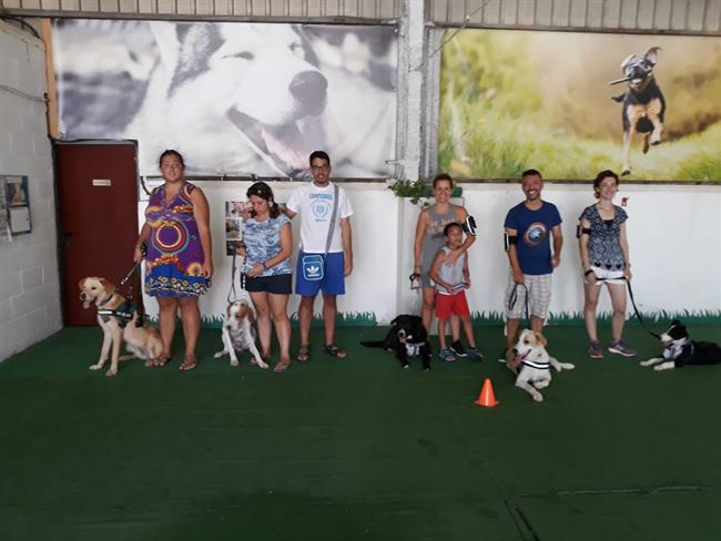 Perros adiestrados crisis epilépticas | PLANNERMEDIA ep perros adiestrados crisis epilepticas