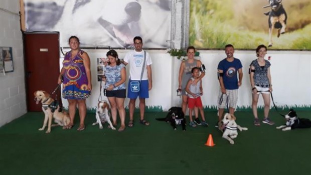 ep perros adiestrados crisis epilepticas