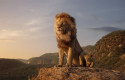 ep rey leon 20190812165411 ep rey leon 20190812165411
