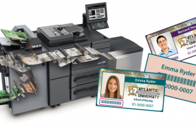 1607935266 vdp1 1607935266 vdp1