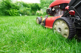 1612725688 segadora 1612725688 segadora