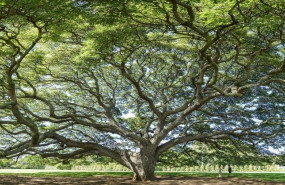 20221229   atos de nuevo seleccionada en el dow jones sustainability index djsi world y europe 2022