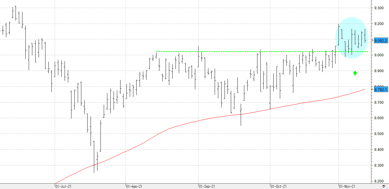 c111121ibex