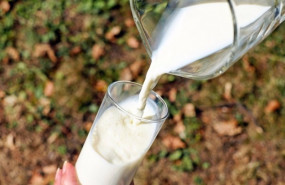 ep archivo   un vaso de leche