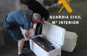 ep atun rojo intervenidoalmeria
