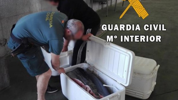 ep atun rojo intervenidoalmeria