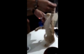 ep captura del video difundido por pacma en sus redes