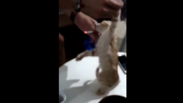 ep captura del video difundido por pacma en sus redes