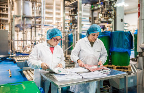 hudisa smeta br 20240826124657 hudisa smeta br 20240826124657