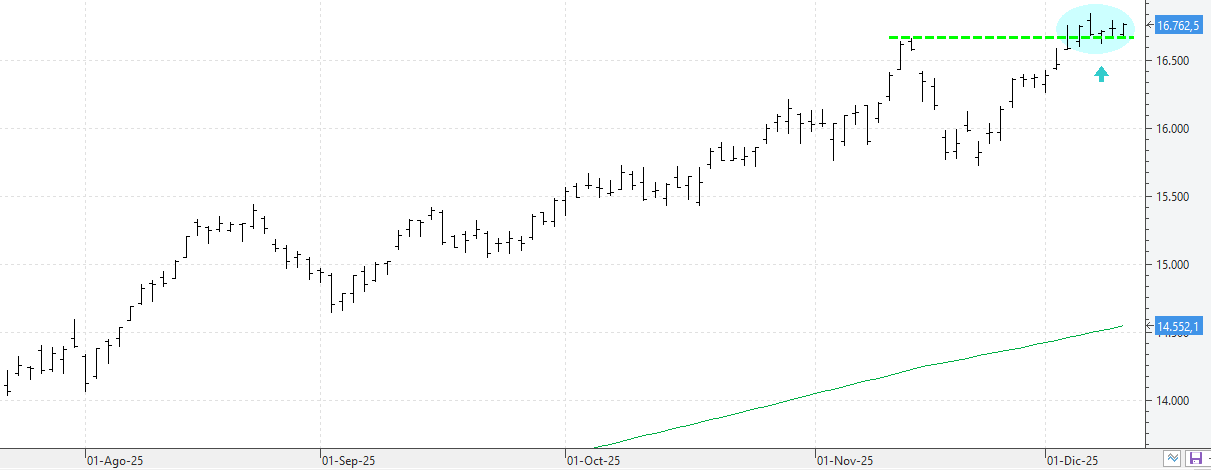 c101225ibex c101225ibex