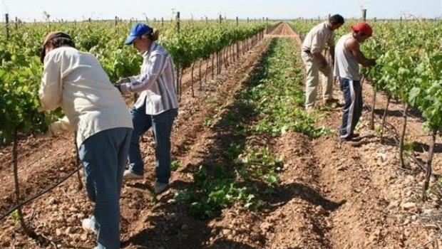ep agricultores trabajandocampo