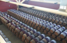 ep bodegas