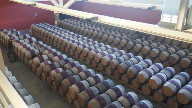 ep bodegas