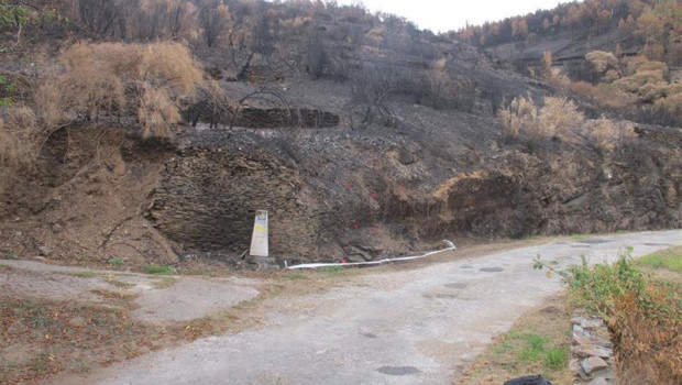 ep detenidoshombrespresuntos autores materialesvarios incendios forestalespasado meslugo