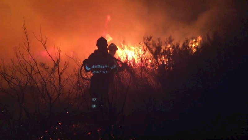 ep incendio forestal