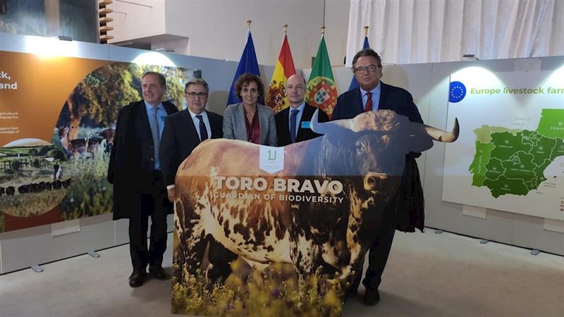 ep juan ignacio zoido en una exposicion en el parlamento europeo sobre el toro bravo