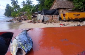 ep pacific island nations are highly dependent on fisheries asfood source