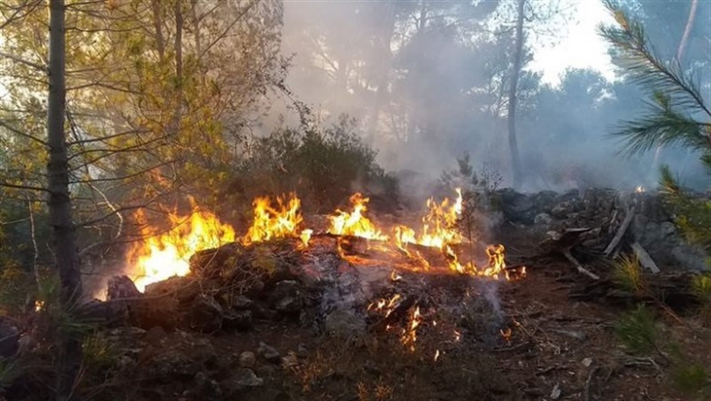 Uno de los incendios forestales registrados en Esporles los últimos días. | IBANAT ep uno de los incendios forestales registrados en esporles los ultimos dias
