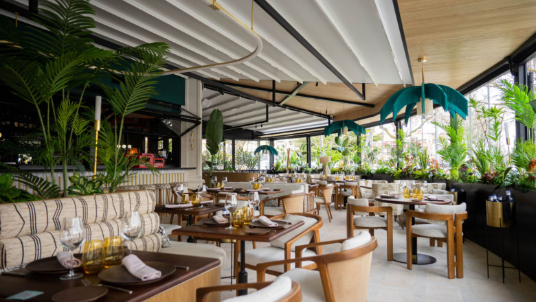 la mamonapozuelo 20230220175320 