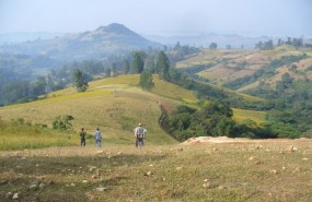 nyota, hill, field nyota, hill, field