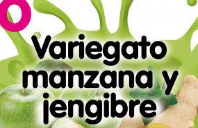1650532542 manzana jengibre