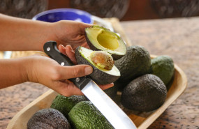 aguacate 76 de 80 20241008165629 aguacate 76 de 80 20241008165629