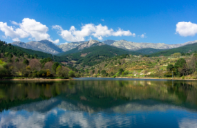 captura de pantalla 2022 12 28 a les 213150