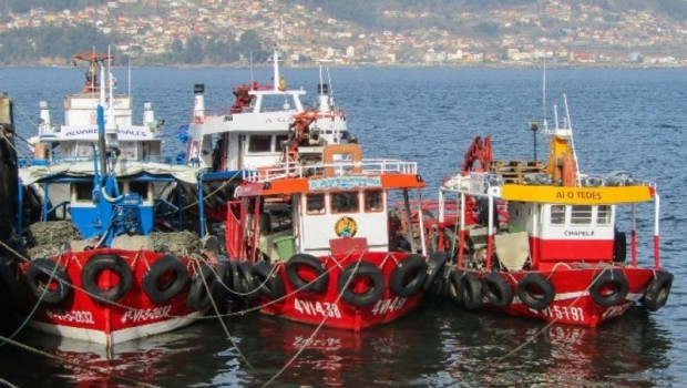 ep archivo la cooperativa de armadores de pesca del puerto de vigo ep archivo la cooperativa de armadores de pesca del puerto de vigo
