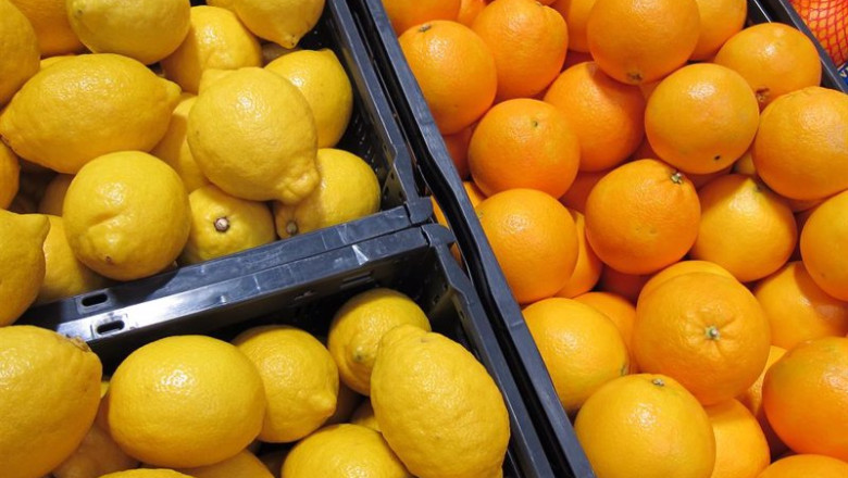ep archivo limones naranjas citricos ep archivo limones naranjas citricos