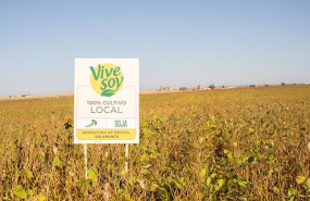 ep campo de soja para vivesoy ep campo de soja para vivesoy