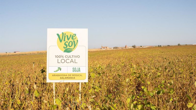 ep campo de soja para vivesoy ep campo de soja para vivesoy