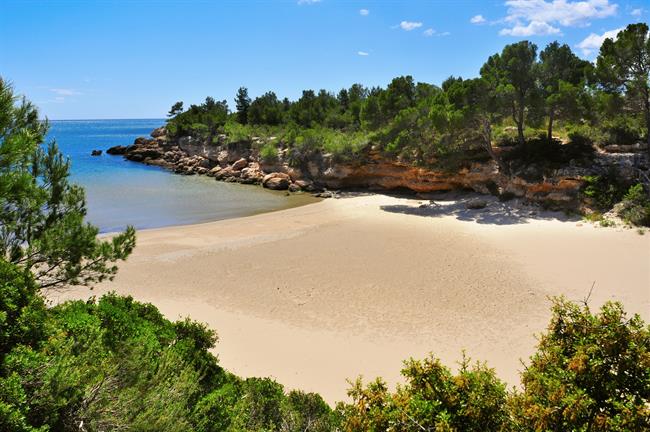 ep cedidabuscounchollocom cala calafato beach in ametllamar spain