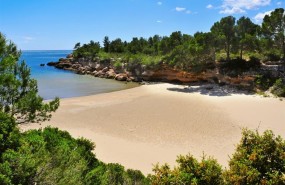ep cedidabuscounchollocom cala calafato beach in ametllamar spain