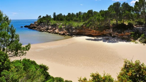 ep cedidabuscounchollocom cala calafato beach in ametllamar spain