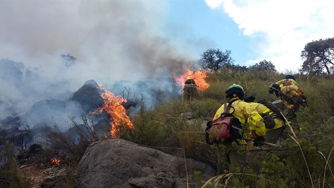 Incendio forestal en el Cerro del Asno | TWITTER DEL PLAN INFOCA ep incendio forestalcerroasno