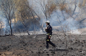 ep incendiocenicientoscadalso 20190712175410