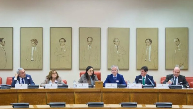 ep jornada celebrada en el congreso de los diputados para tratar la ley de atencion al cliente que