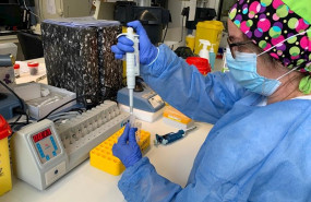 ep prueba pcr en el hospital mateu orfila de mahon