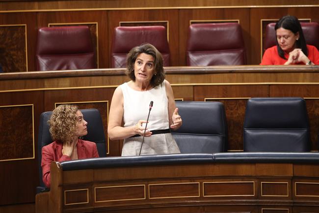 ep teresa riberala sesioncontrolgobiernocongreso