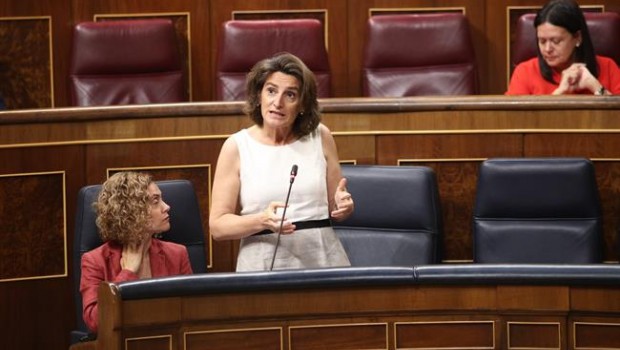 ep teresa riberala sesioncontrolgobiernocongreso
