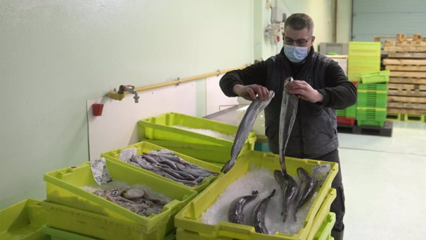 ep un trabajador maneja pescado en cajas de plastico en la lonja de a coruna a 18 de marzo de 2022