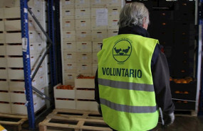 ep voluntarios fesbal
