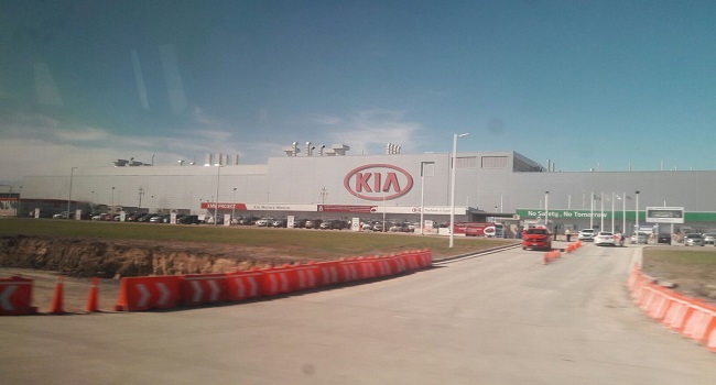 planta kia